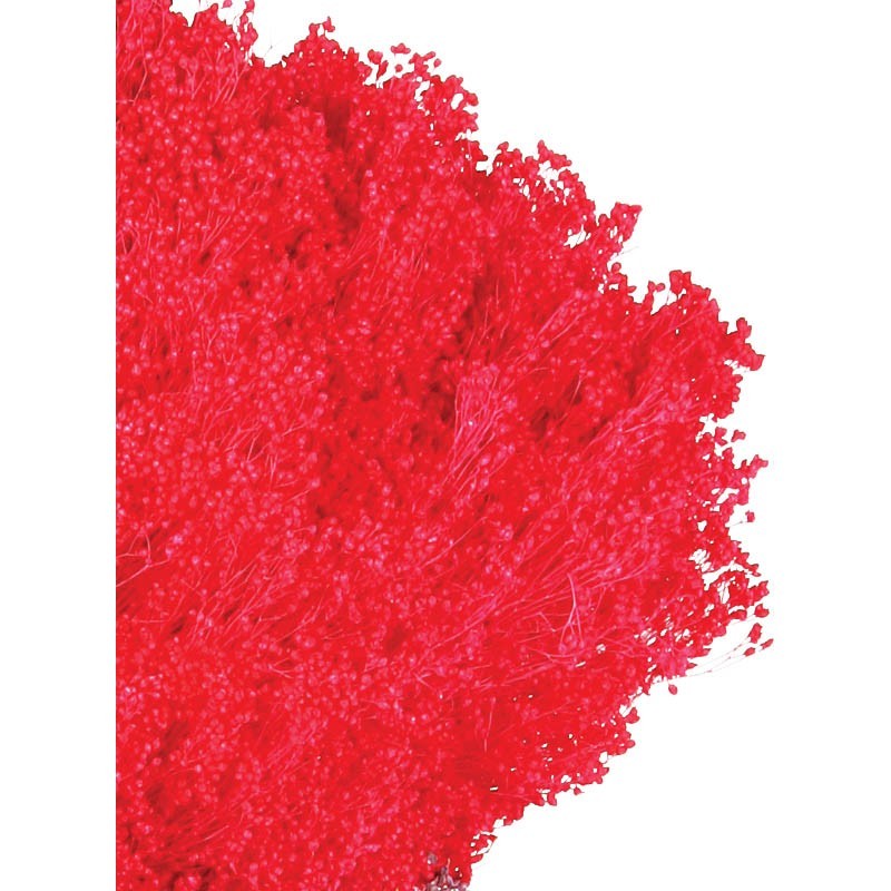 POMO BROOM 100 GR 50CM