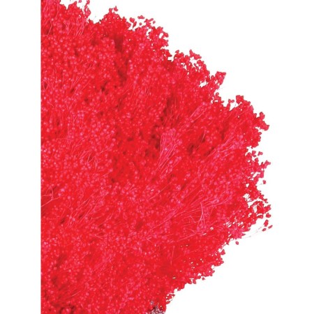 POMO BROOM 100 GR 50CM