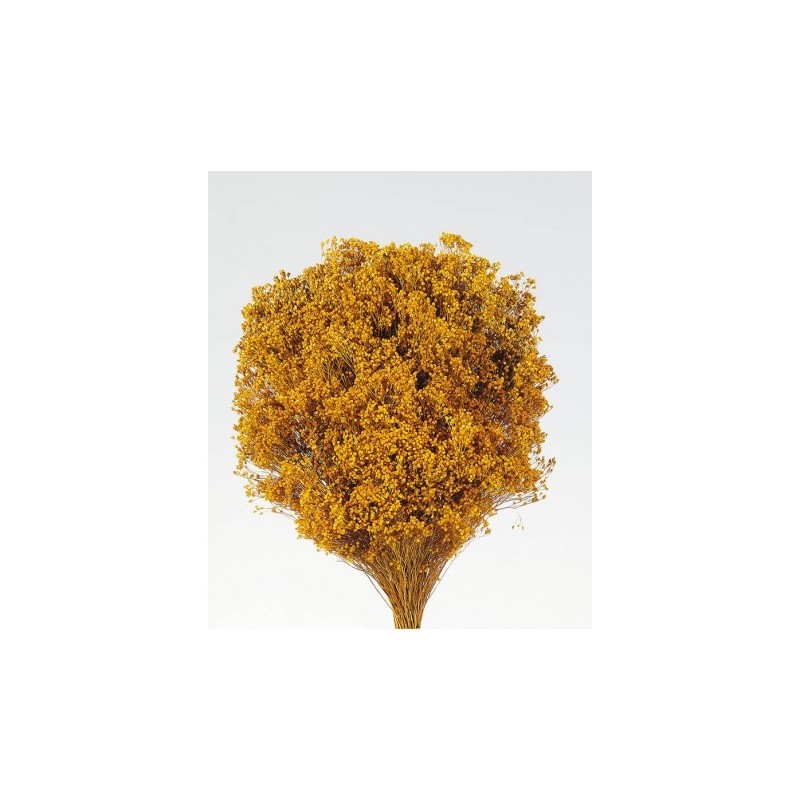 POMO BROOM 100 GR 50CM