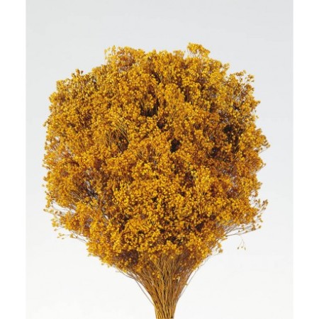POMO BROOM 100 GR 50CM