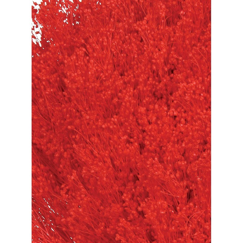 POMO BROOM 100 GR 50CM