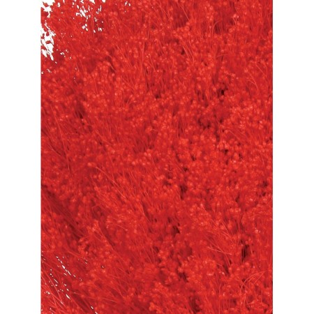 POMO BROOM 100 GR 50CM