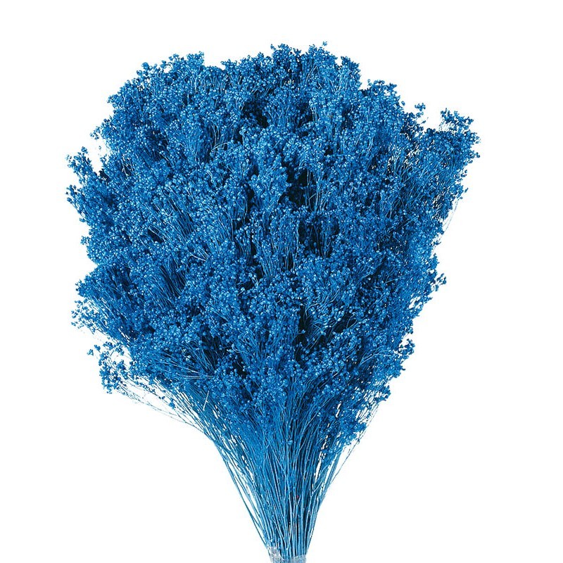 POMO BROOM 100 GR 50CM