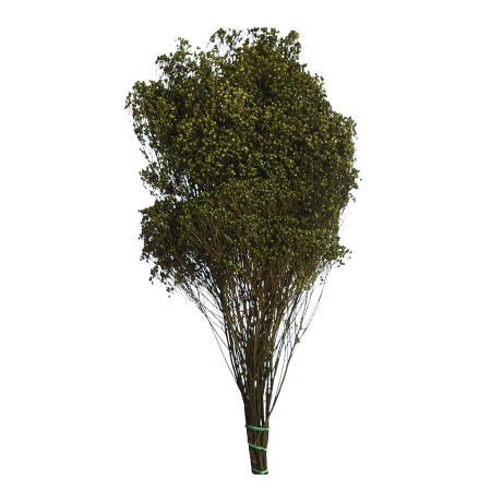 POMO BROOM 100 GR 50CM