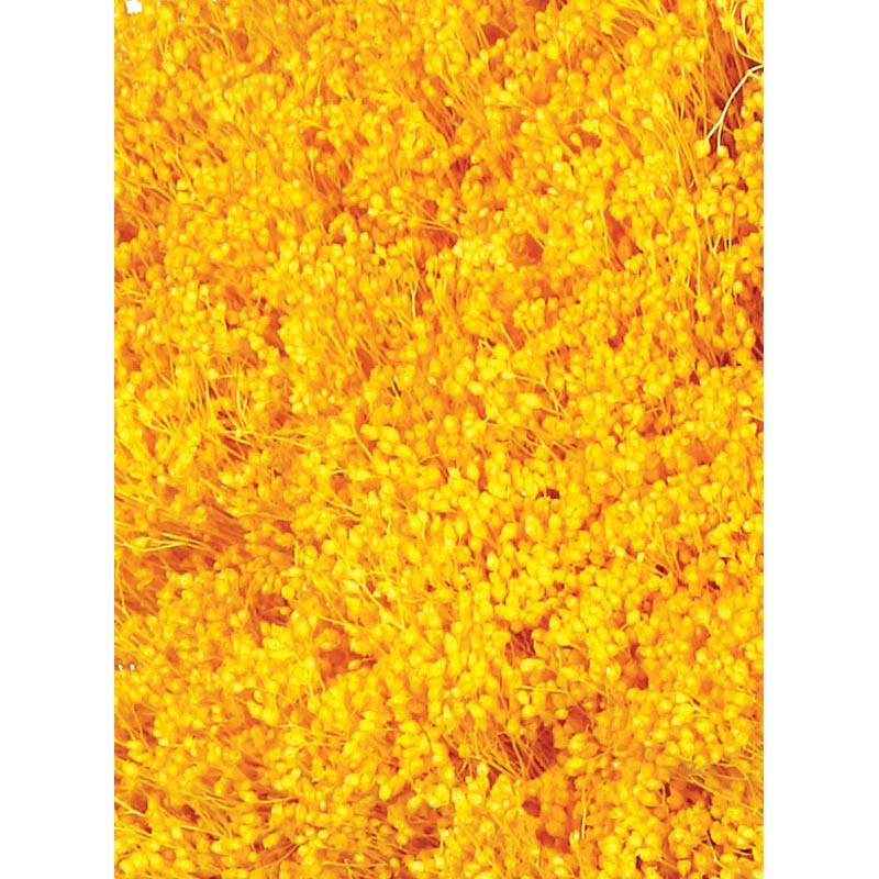 POMO BROOM 100 GR 50CM