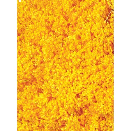 POMO BROOM 100 GR 50CM