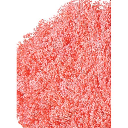POMO BROOM 100 GR 50CM
