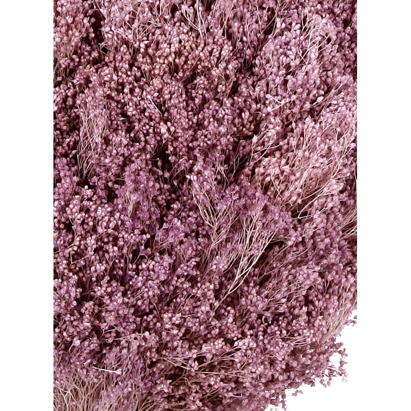POMO BROOM 100 GR 50CM
