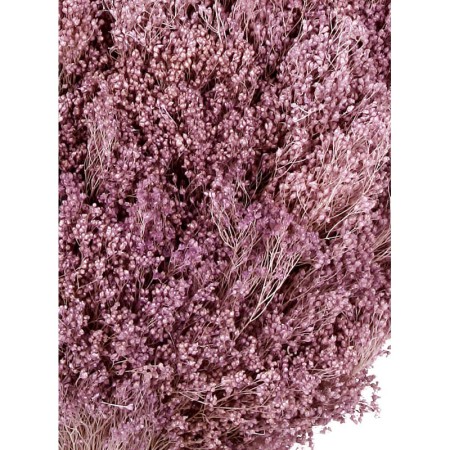 POMO BROOM 100 GR 50CM