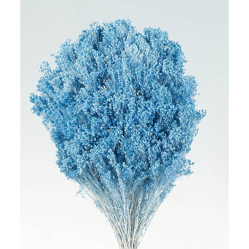 POMO BROOM 100 GR 50CM