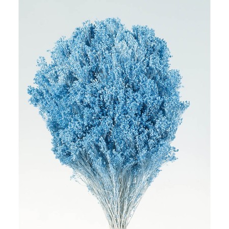 POMO BROOM 100 GR 50CM