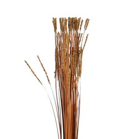 POMO GRASS OTOÑAL