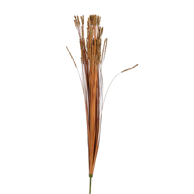 POMO GRASS OTOÑAL
