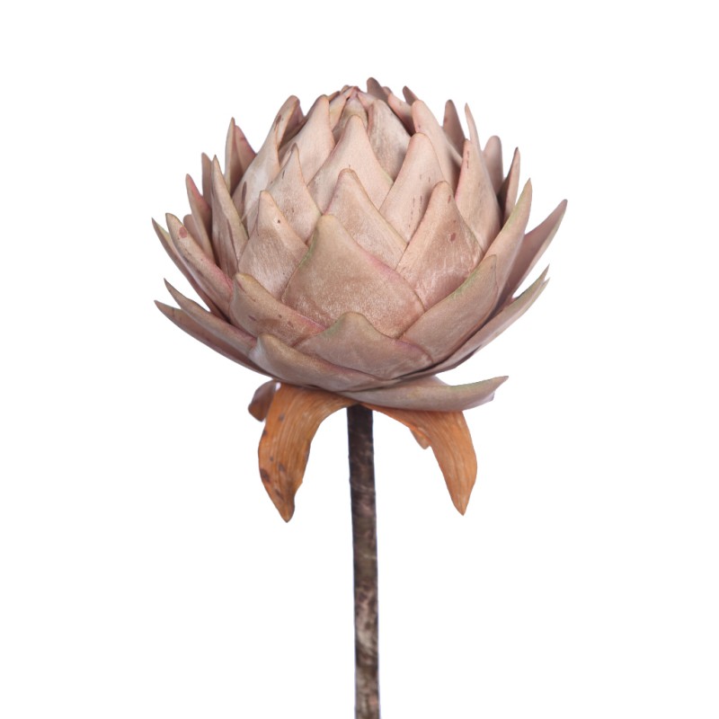 PROTEA VINTAGE GIGANTE 87CM