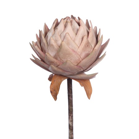 PROTEA VINTAGE GIGANTE 87CM