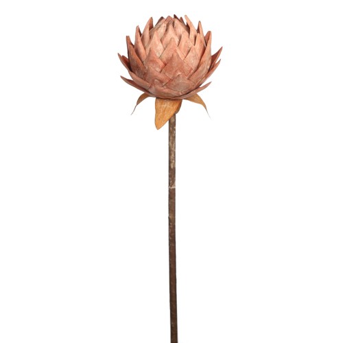 PROTEA VINTAGE GIGANTE 87CM