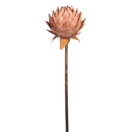 PROTEA VINTAGE GIGANTE 87CM