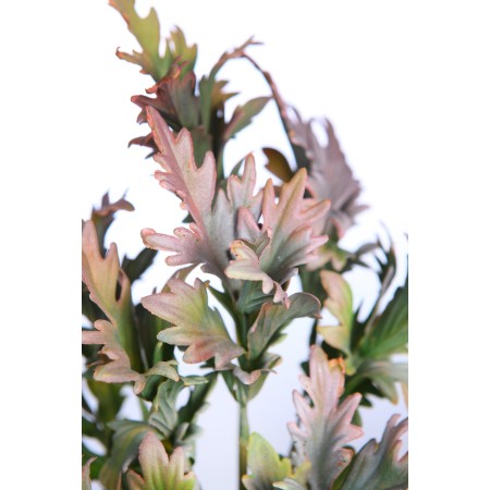 QUERCUS ARTIFICIAL 30CM
