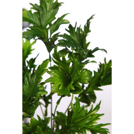 QUERCUS ARTIFICIAL 30CM