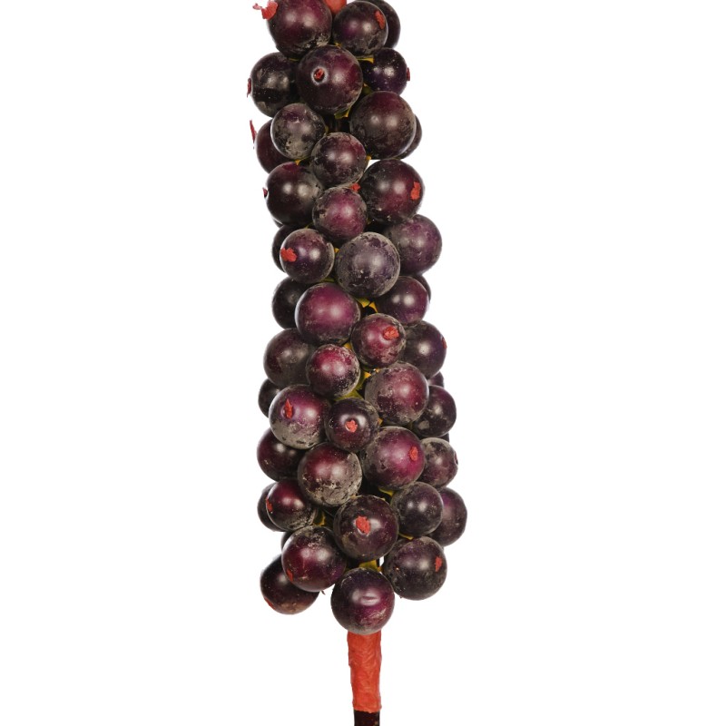 RACIMO FRUTAL GIGANTE 144CM