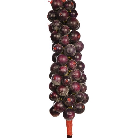 RACIMO FRUTAL GIGANTE 144CM