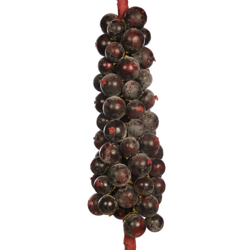 RACIMO FRUTAL GIGANTE 144CM