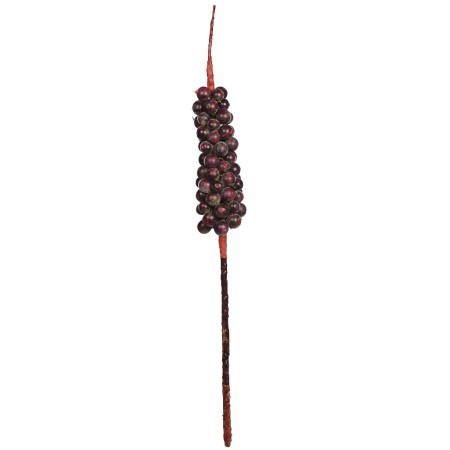 RACIMO FRUTAL GIGANTE 144CM