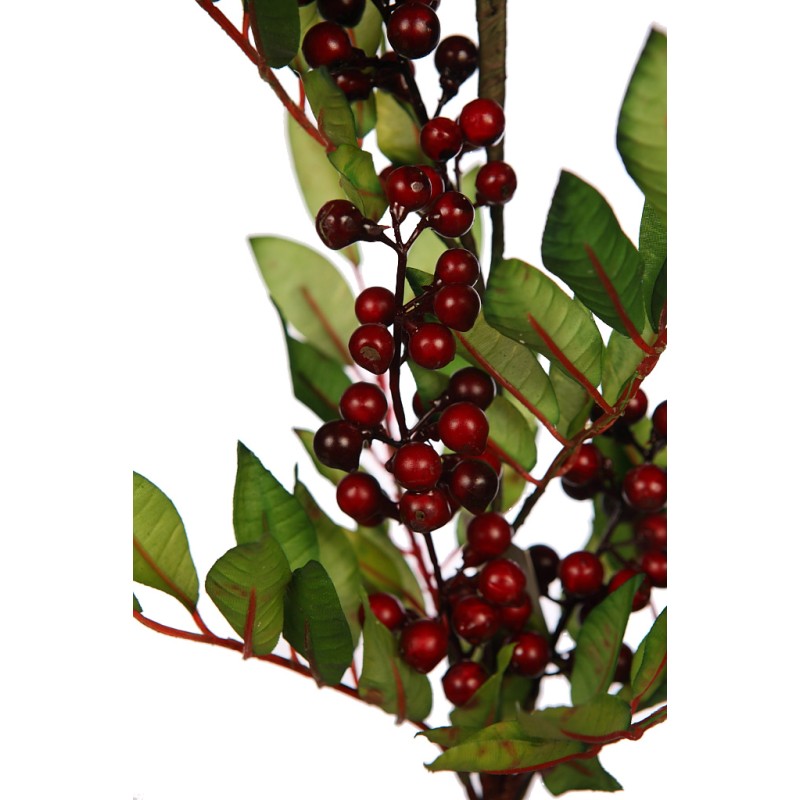 RAMA BERRY 100CM