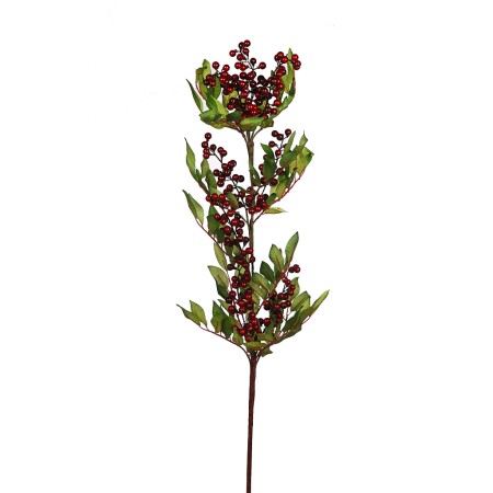 RAMA BERRY 100CM