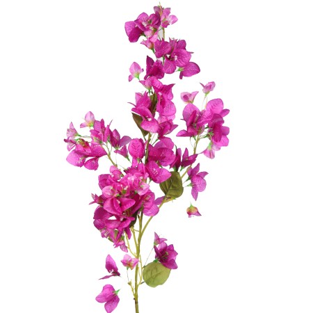 RAMA BUGANVILIA 113CM