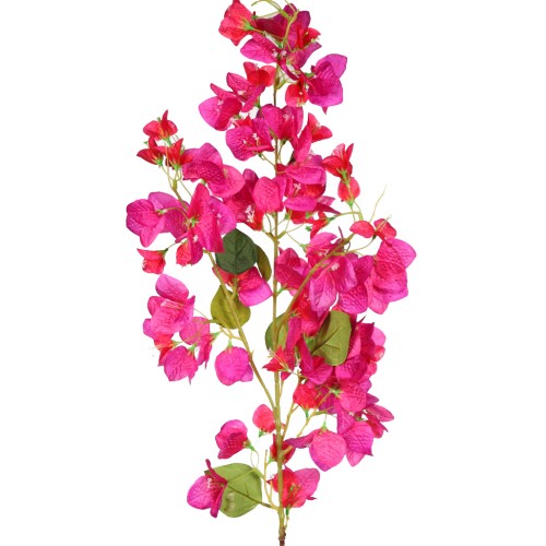 RAMA BUGANVILIA 113CM 2