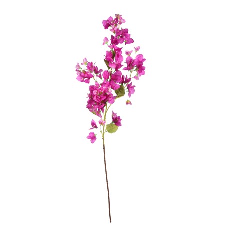 RAMA BUGANVILIA 113CM