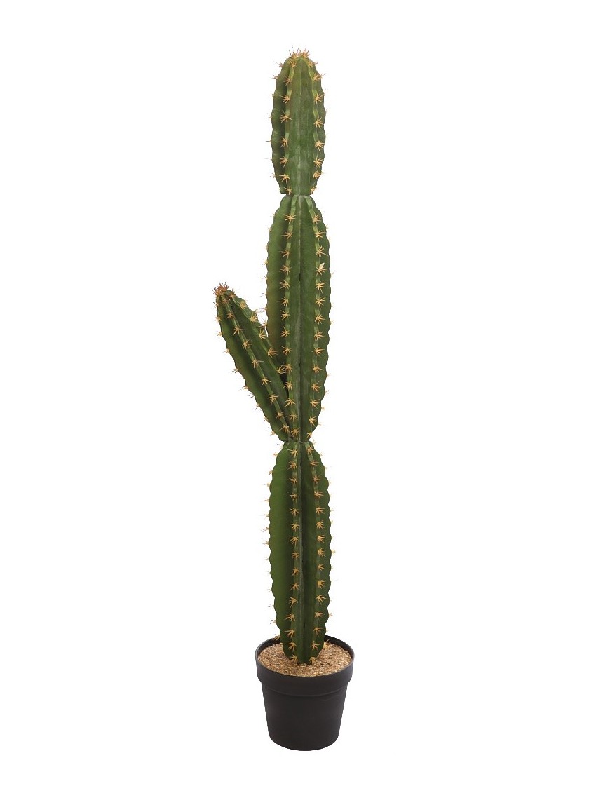 CACTUS CON MACETA 135CM