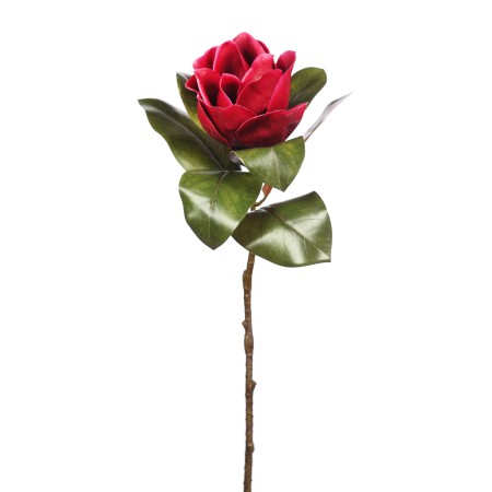 RAMA MAGNOLIA 70CM