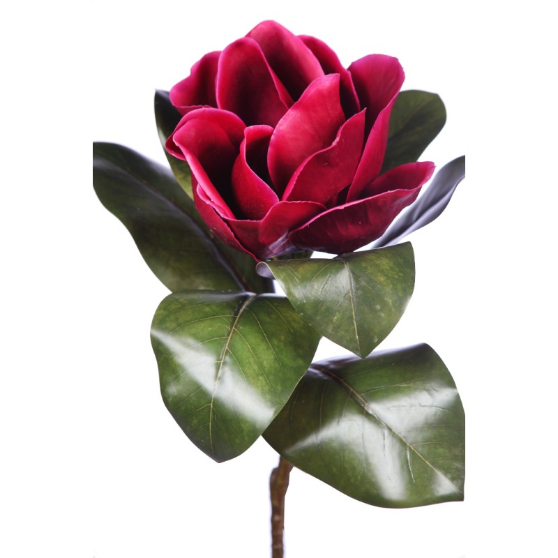 RAMA MAGNOLIA 70CM