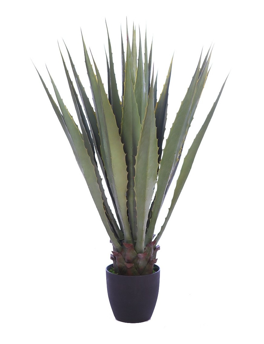 CACTUS AGAVE CON MACETA 105 CM