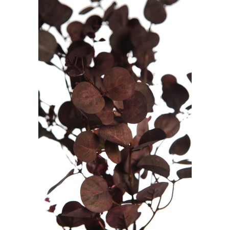RAMAJE EUCALIPTO ARTIFICIAL 72CM