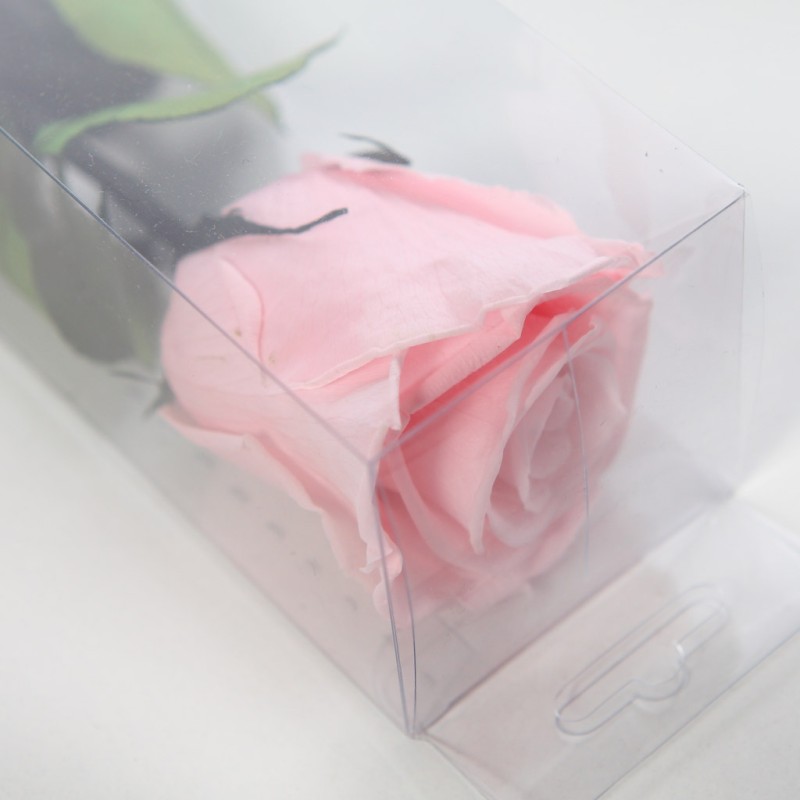 ROSA ETERNA PRESERVADA 55CM