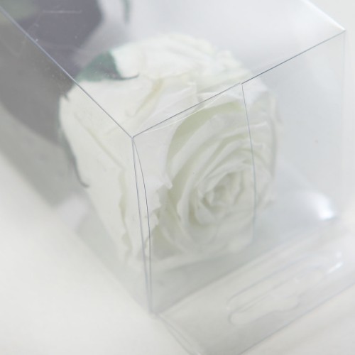 ROSA ETERNA PRESERVADA 55CM 2