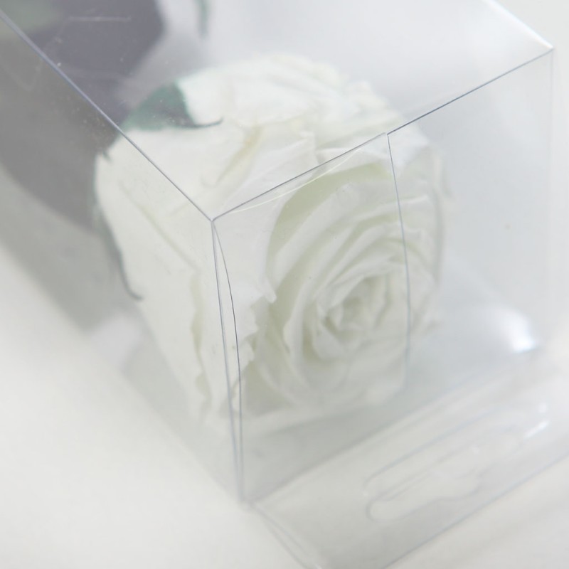 ROSA ETERNA PRESERVADA 55CM