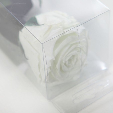 ROSA ETERNA PRESERVADA 55CM