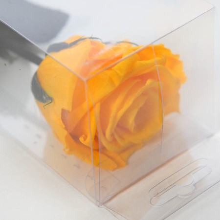 ROSA ETERNA PRESERVADA 55CM