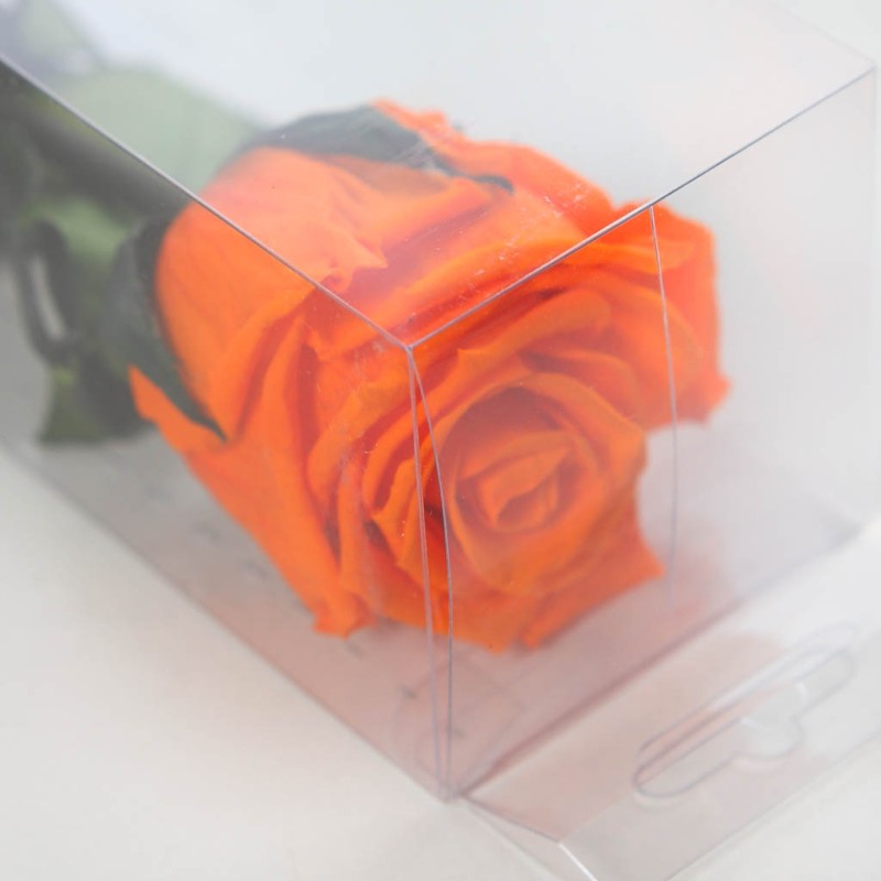 ROSA ETERNA PRESERVADA 55CM