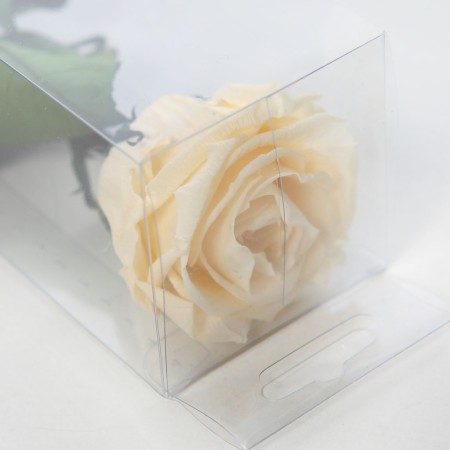 ROSA ETERNA PRESERVADA 55CM
