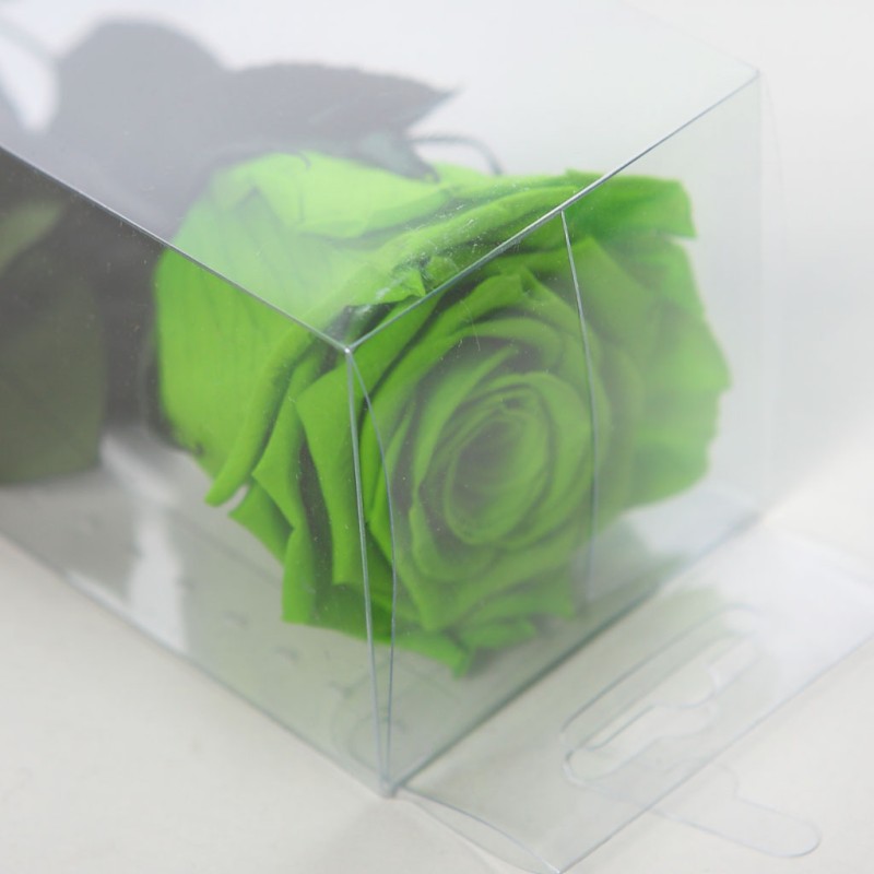 ROSA ETERNA PRESERVADA 55CM