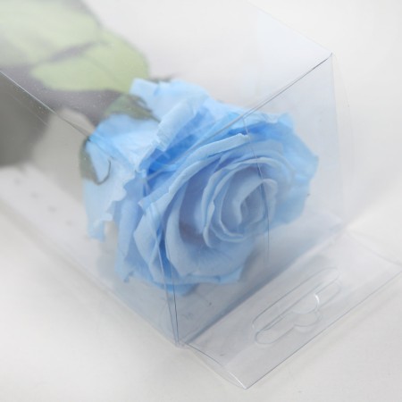 ROSA ETERNA PRESERVADA 55CM