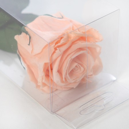 ROSA ETERNA PRESERVADA 55CM