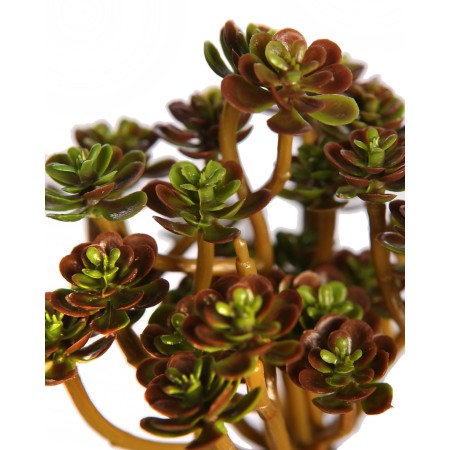 SUCULENTA ECHEVERIA ARTIFICIAL 13CM