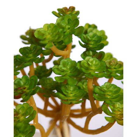 SUCULENTA ECHEVERIA ARTIFICIAL 13CM