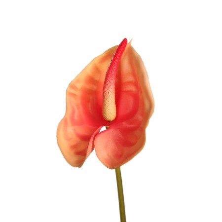VARA ANTURIUM 45 CM